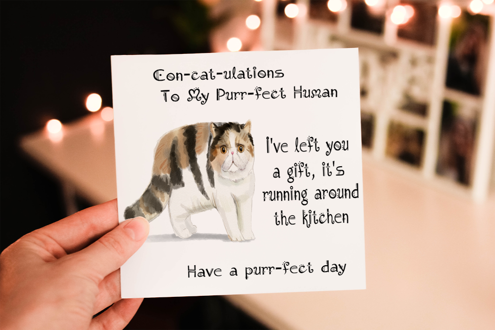 Exotic Shorthair Cat Birthday Card, Cat Birthday Card